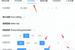 多码率情况下的水印设置示范
