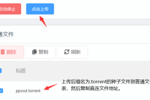 PPVOD云转码视频管理系统M3u8、磁力链、BT种子都可以离线下载 速度可达1G